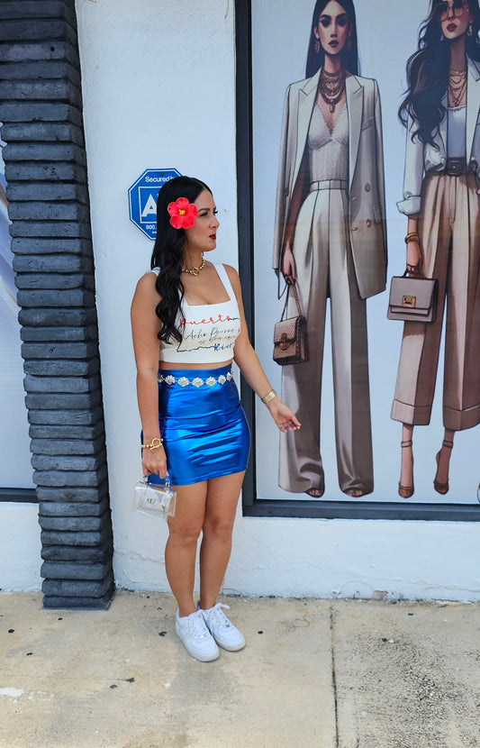 Tiah metalic skirt
