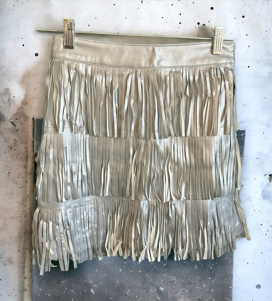 Cha Cha Silver Skirt