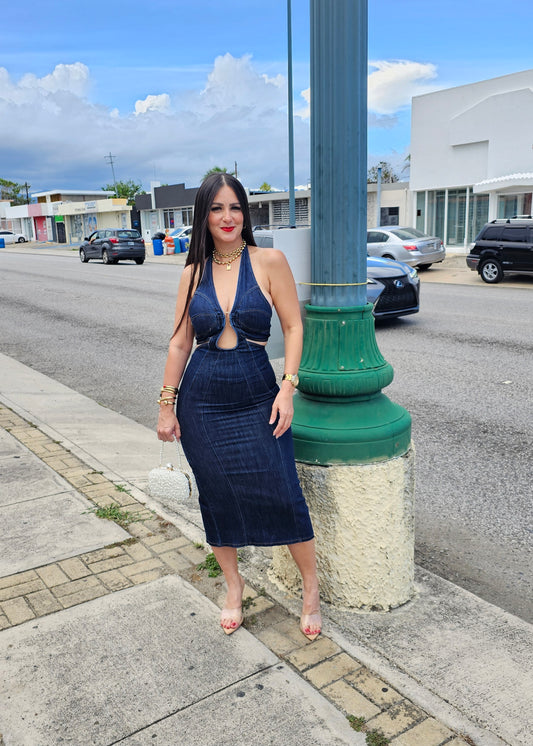 Zaira Denim Dress