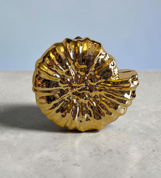 Caracol Clutch